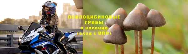 каннабис Белокуриха
