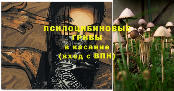 каннабис Белокуриха