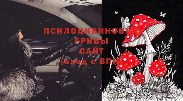 spice Беломорск