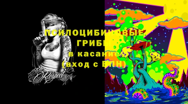 индика Нягань