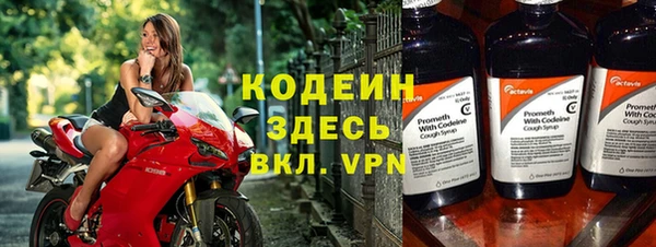 индика Нягань