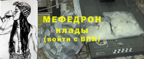 индика Нягань