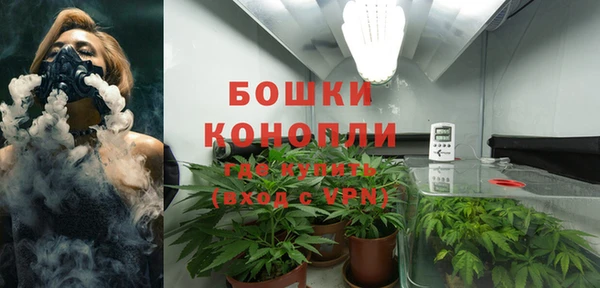 каннабис Белокуриха