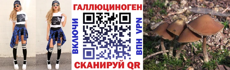 Галлюциногенные грибы Psilocybine cubensis  где продают   Горячеводский 